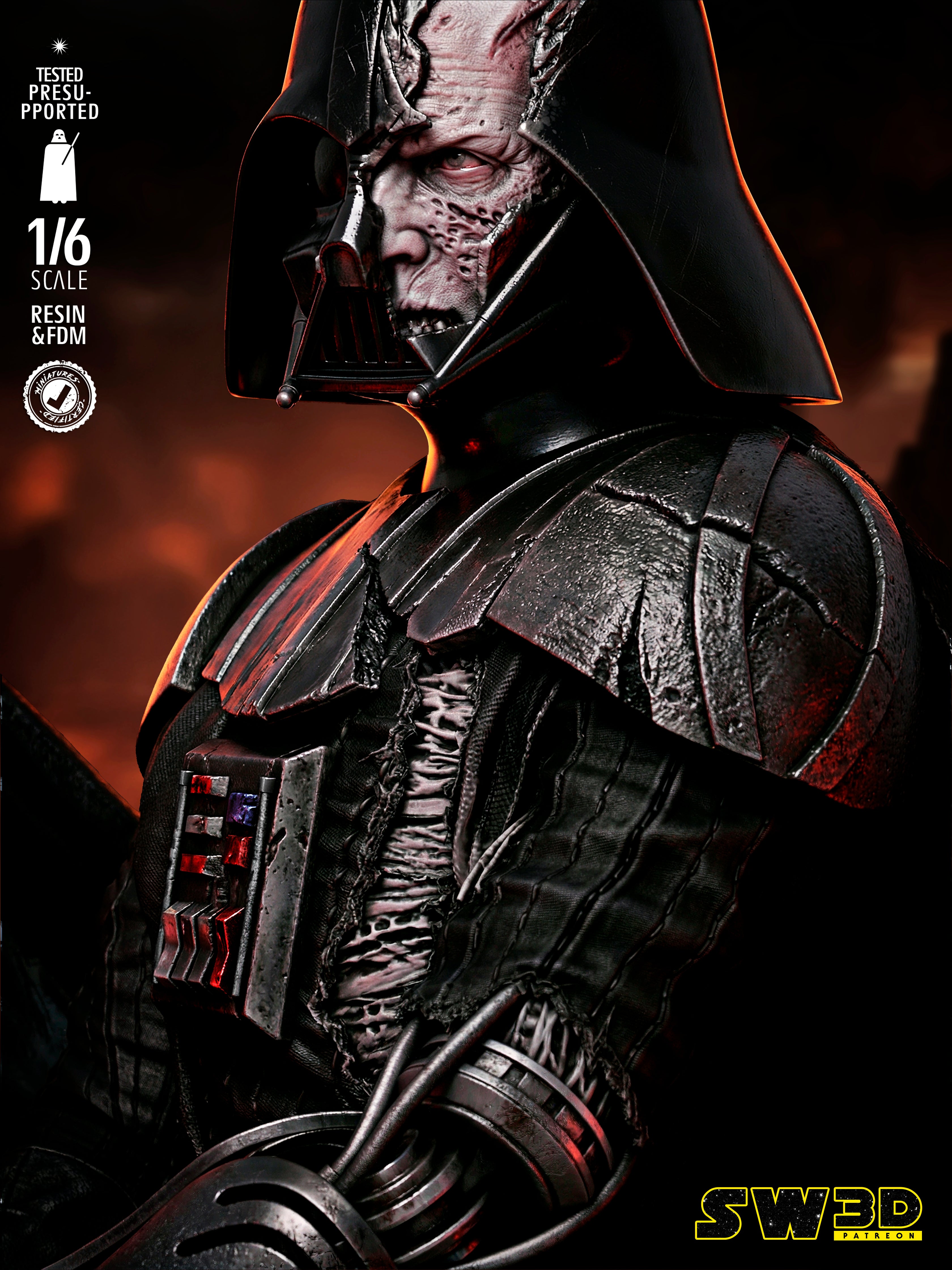 Darth Vader Batle Damage