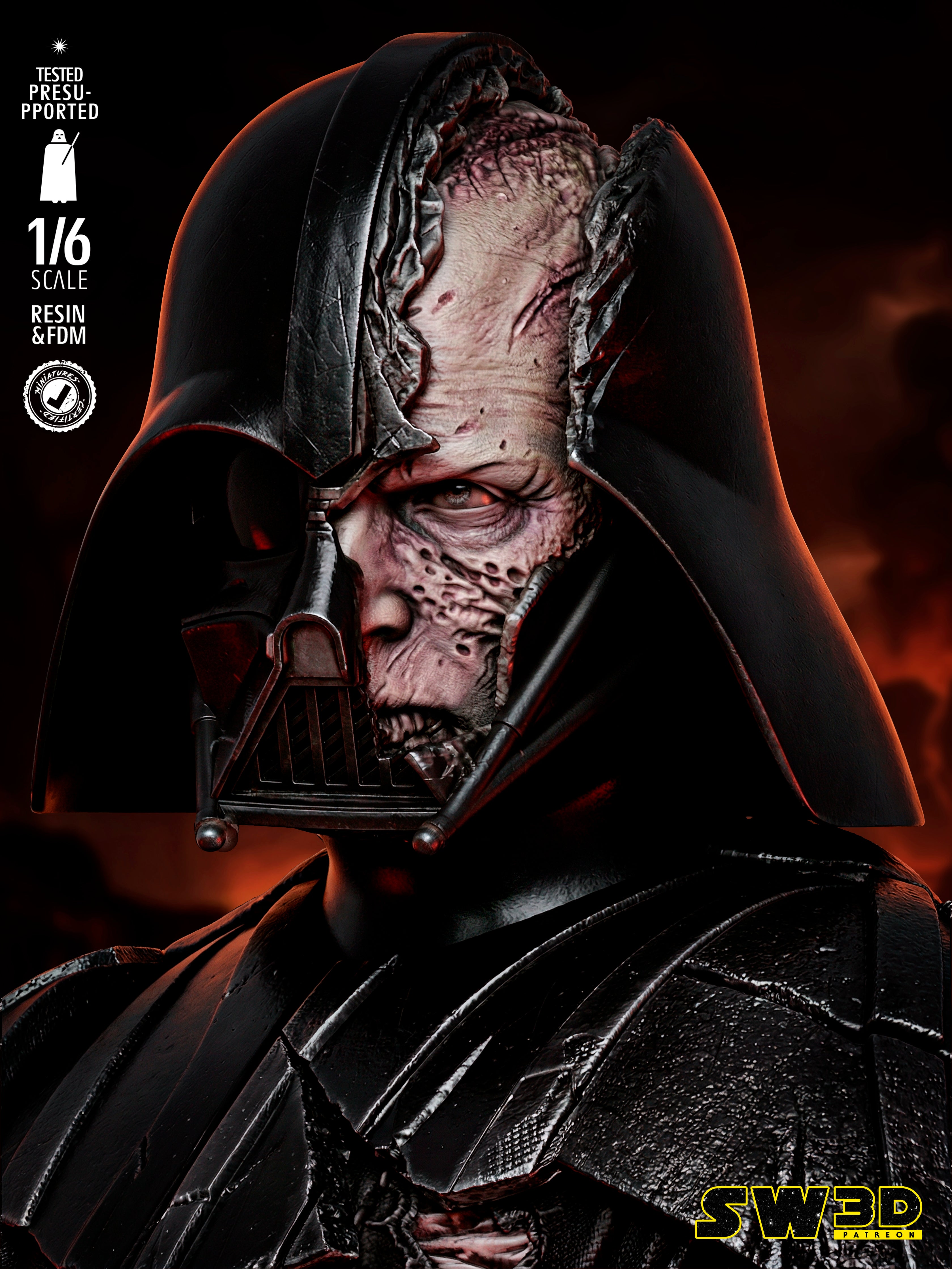Darth Vader Batle Damage