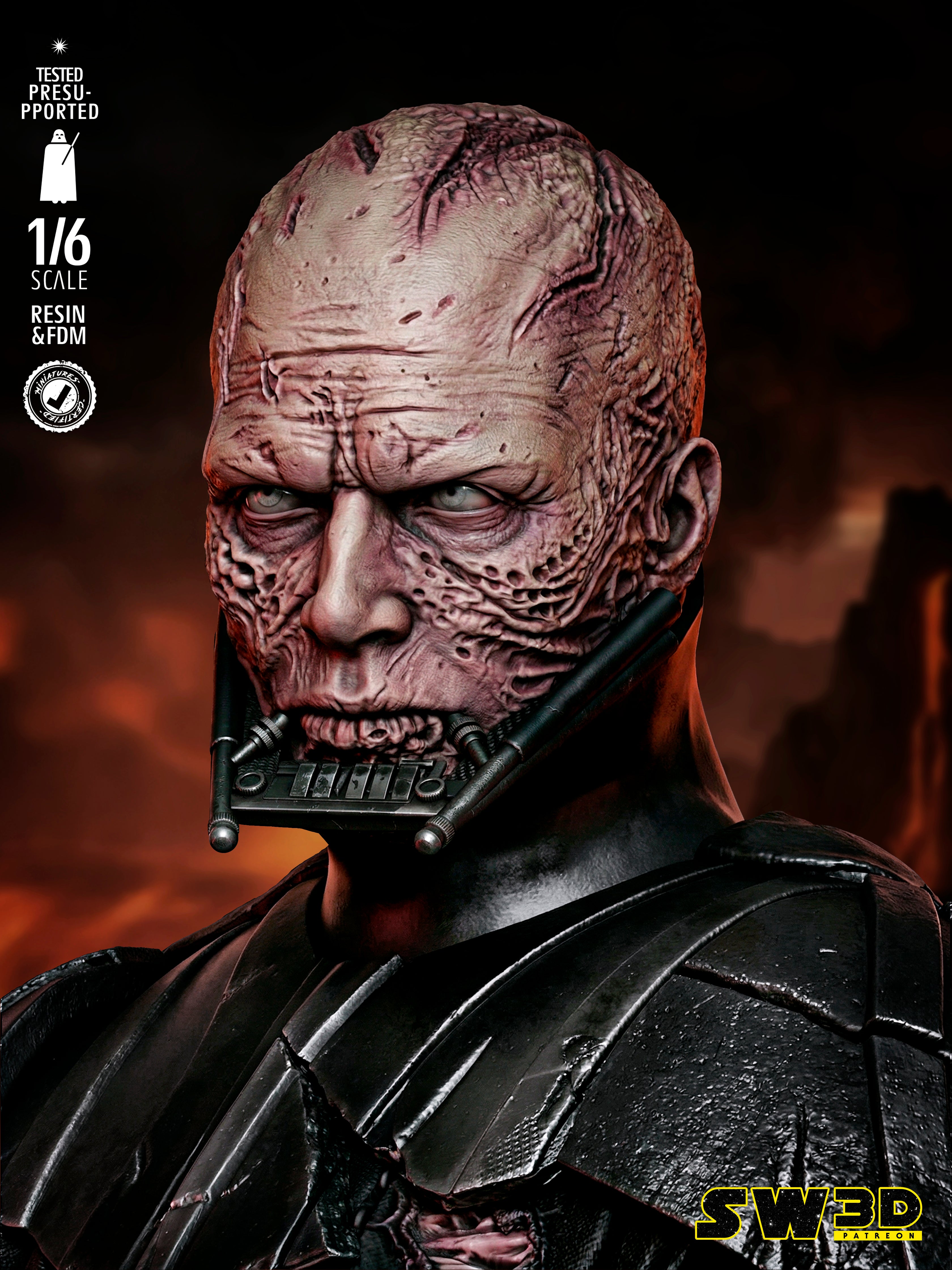 Darth Vader Batle Damage