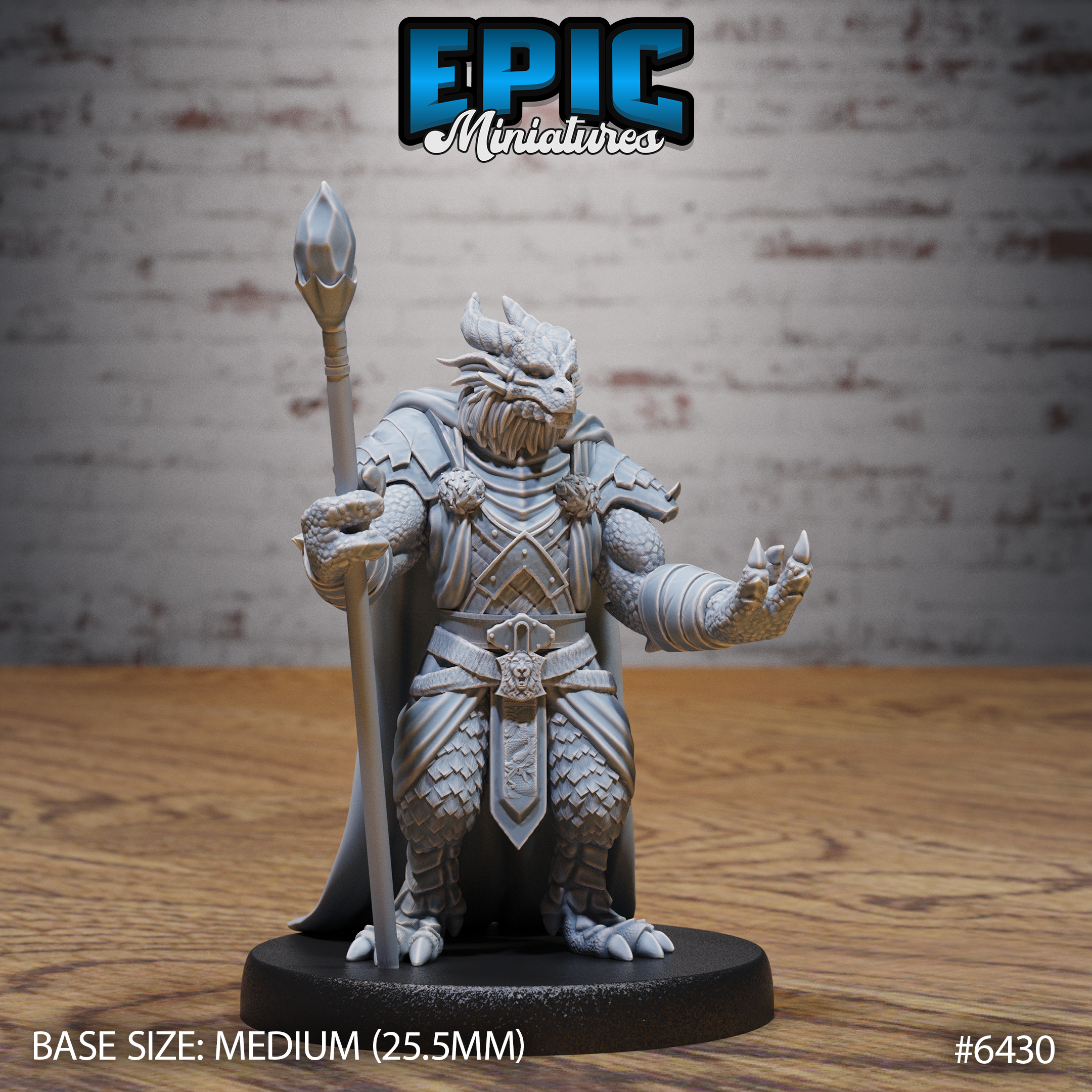 DRAGONBORN MAGE- GREMIO DE AVENTUREROS