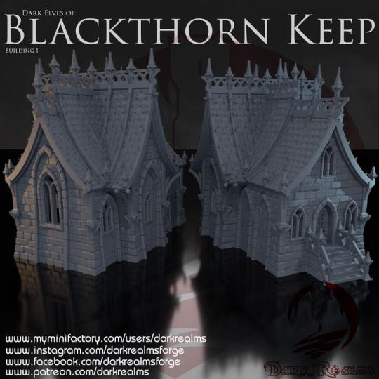 DAR KIN ELF BUILDING 1 - BLACKTHORN KEEP