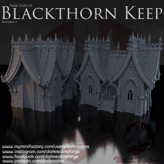 DAR KIN ELF BUILDING 1 - BLACKTHORN KEEP
