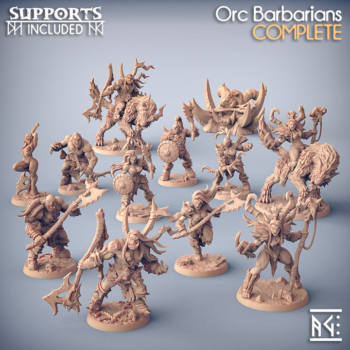 BARBAROS ORCOS- BATTLEFORCE BOX