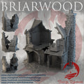 Tienda 1  RUINAS BRIARWOOD