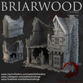 Tienda 2  RUINAS BRIARWOOD