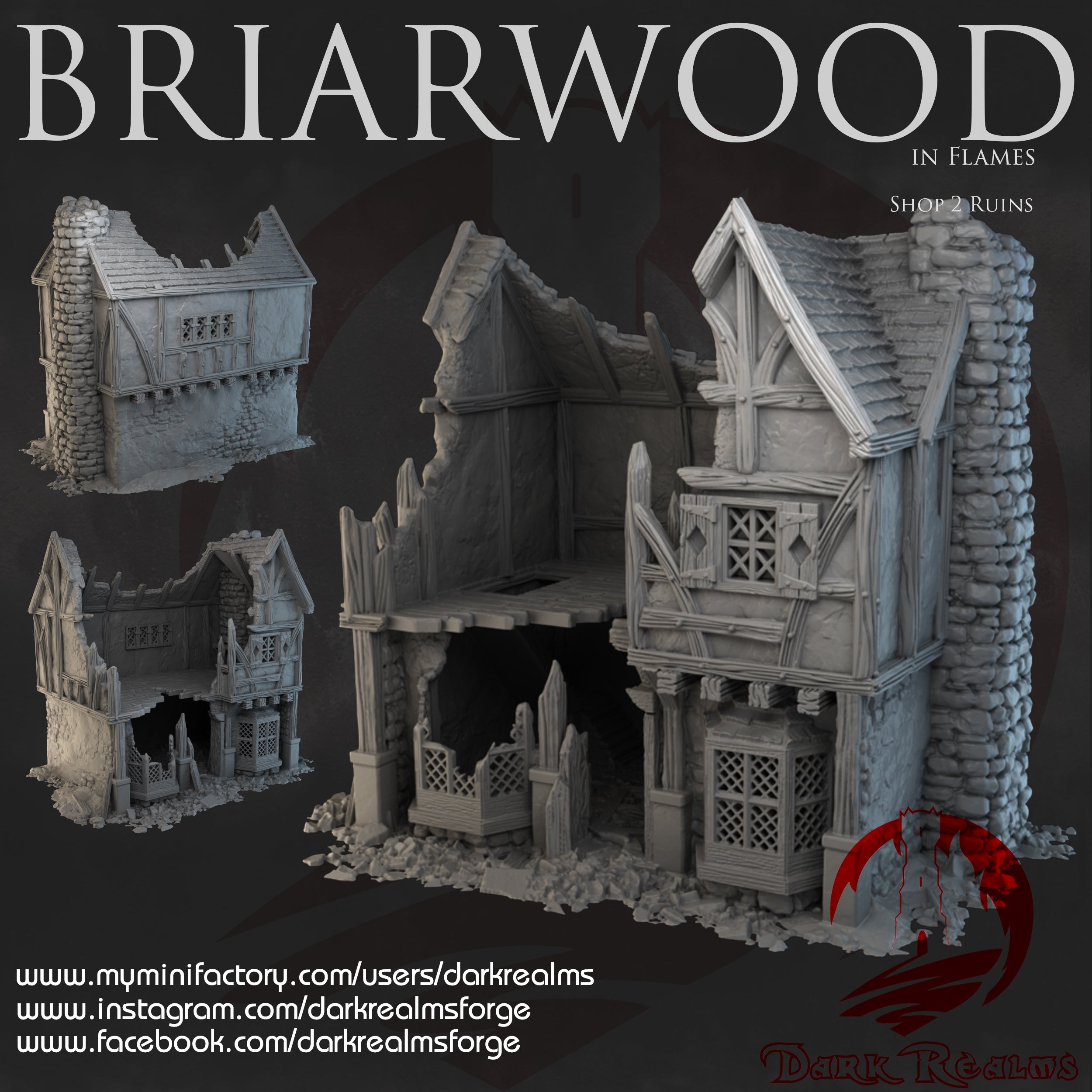 Tienda 2  RUINAS BRIARWOOD