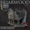 Tienda 3 RUINAS BRIARWOOD