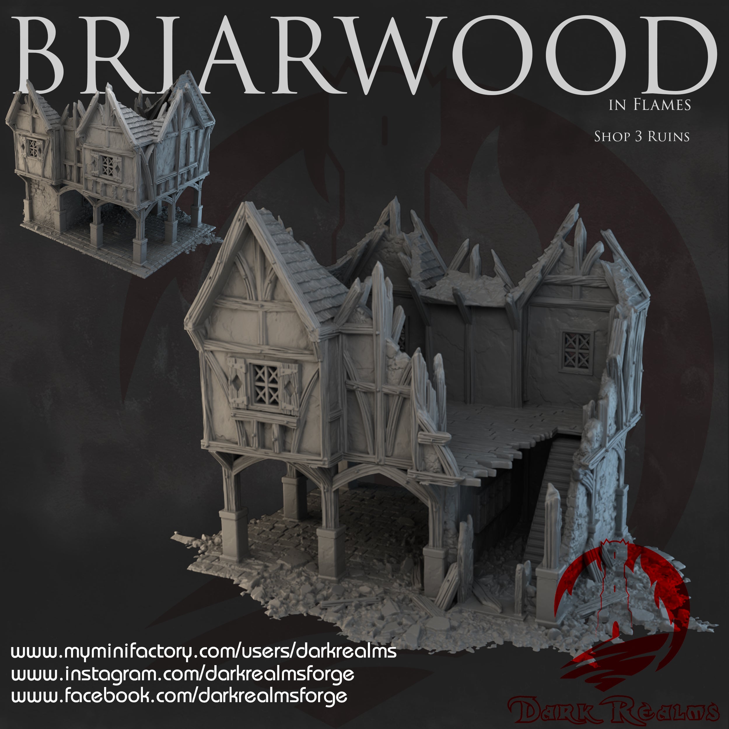 Tienda 3 RUINAS BRIARWOOD