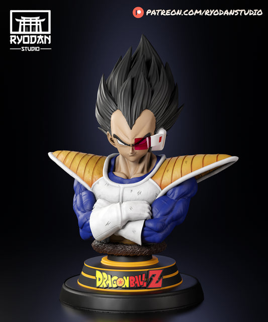 Vegeta Busto  - Ryodan Studio