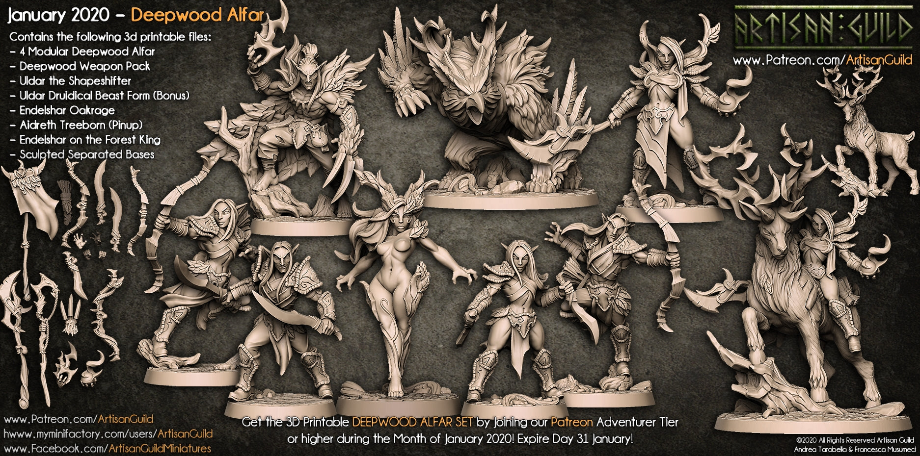 DEEPWOOD ALFAR- BATTLEFORCE BOX