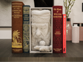 DUMBLEDORE BOOKNOOR
