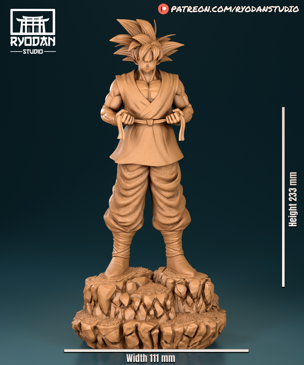 GOKU FINAL DBZ