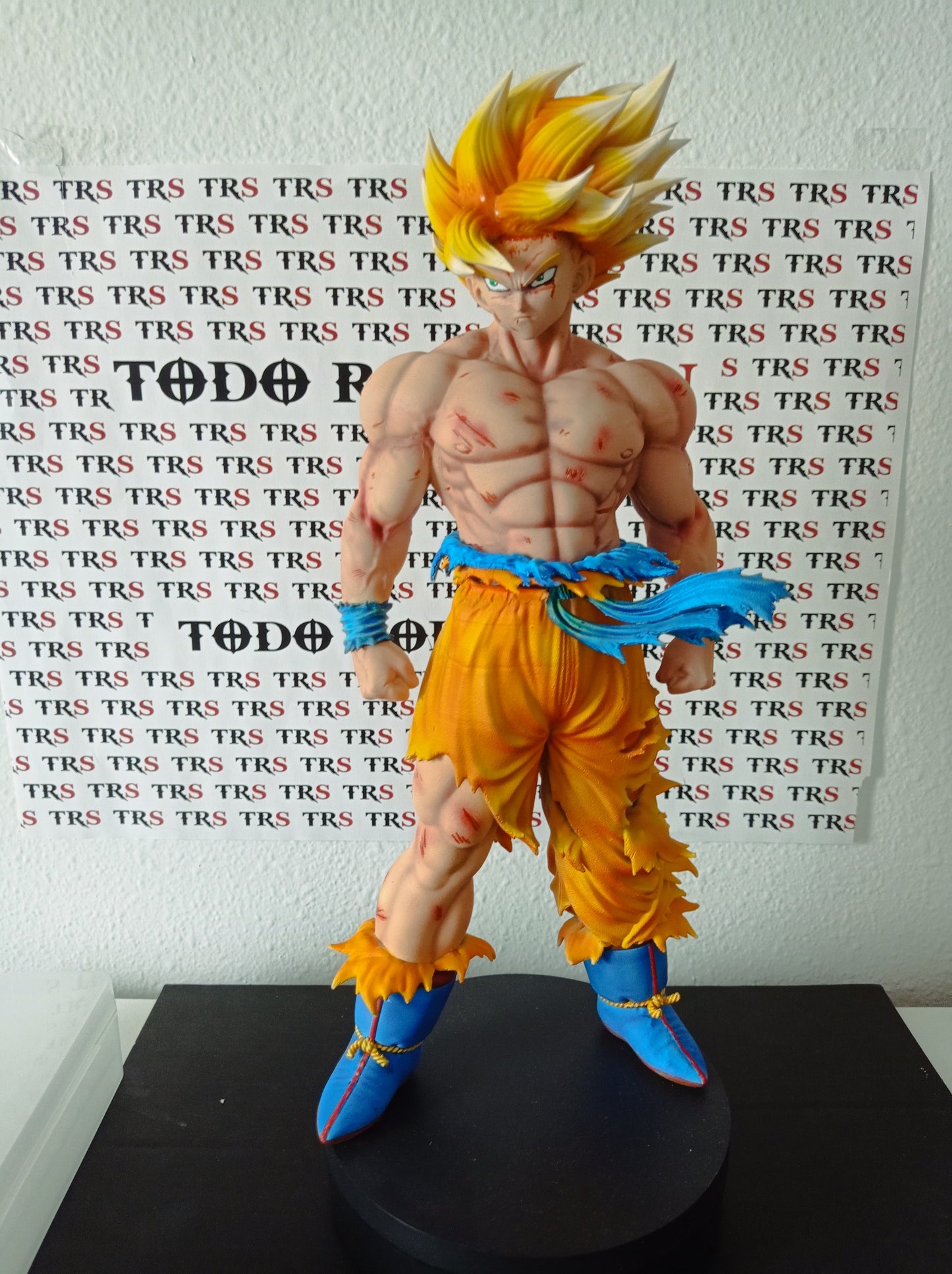 GOKU NAMEK 1/6