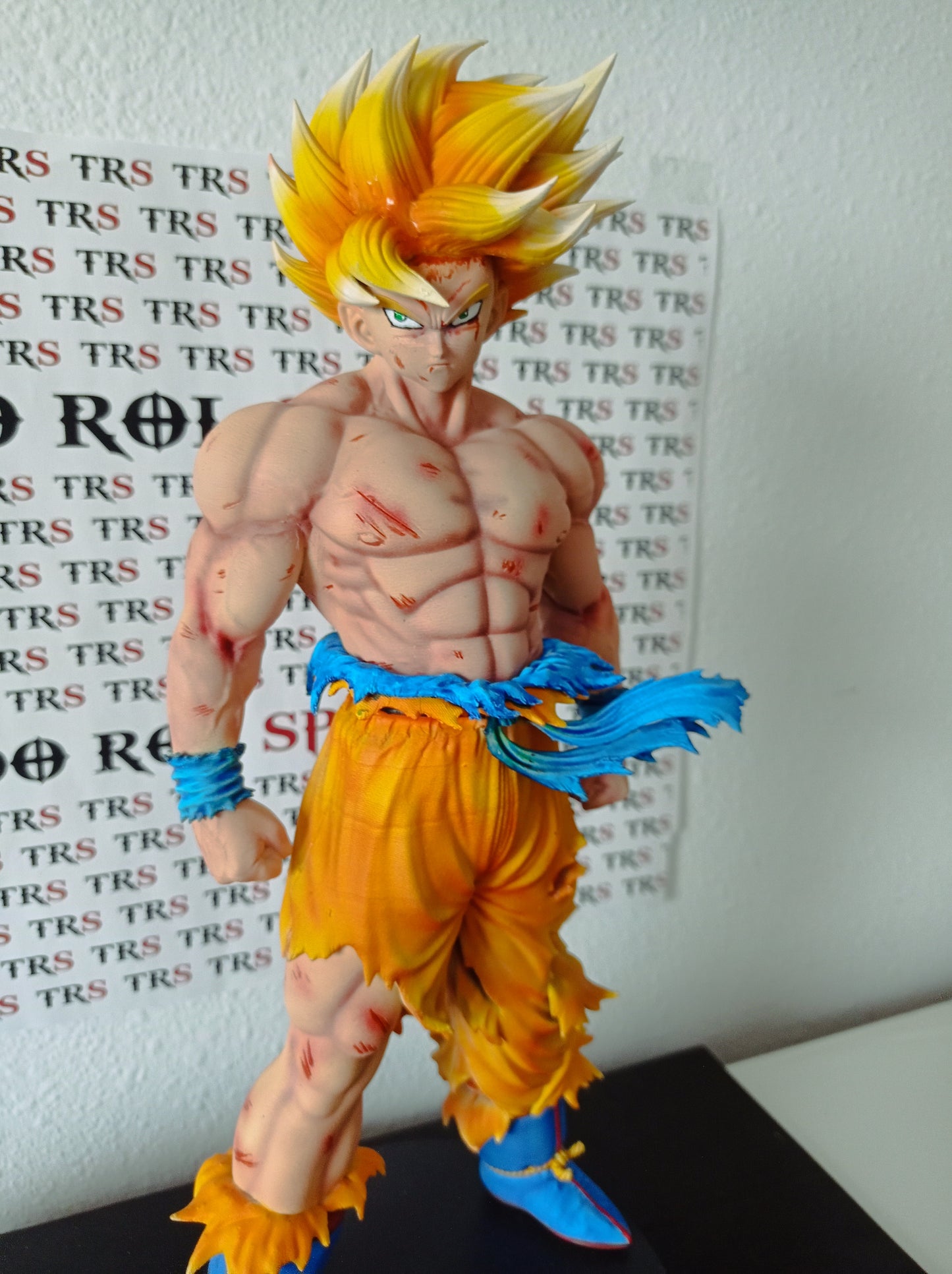 GOKU NAMEK 1/6