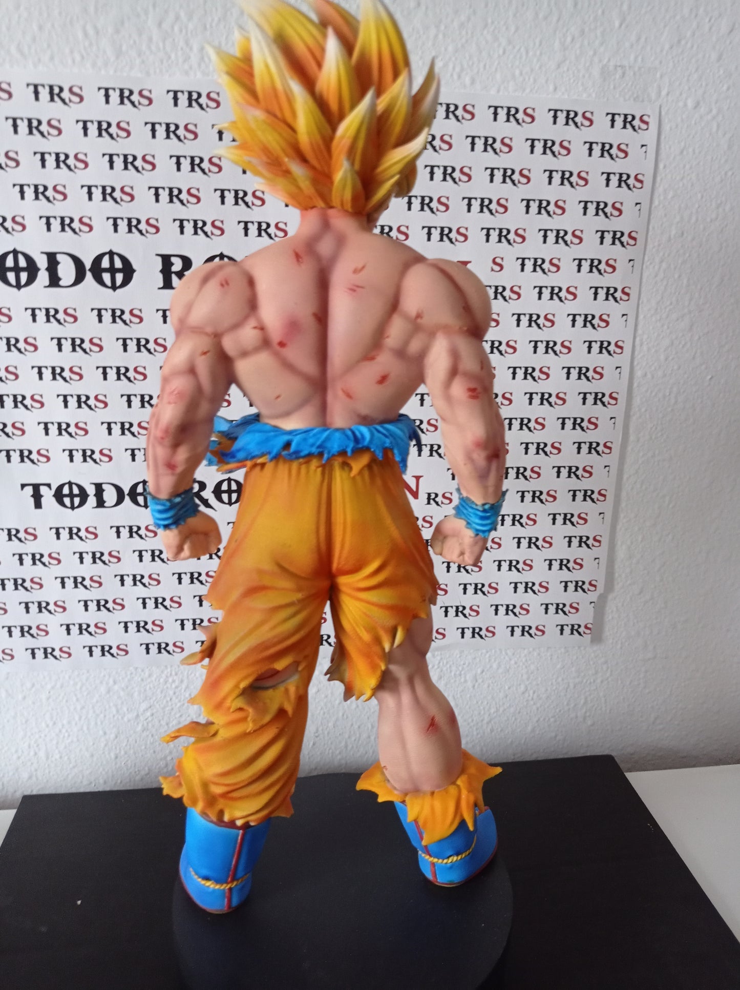 GOKU NAMEK 1/6