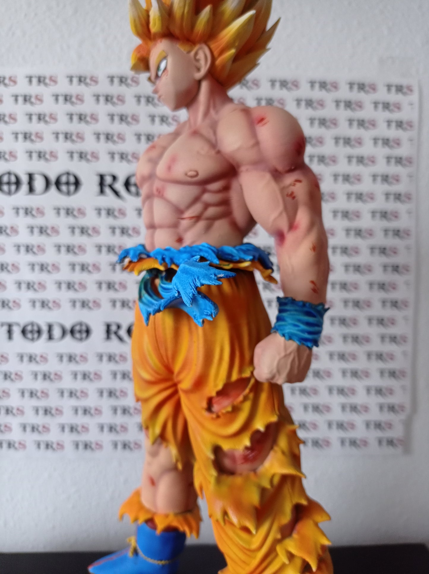 GOKU NAMEK 1/6