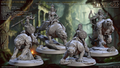 VEILED SISTERHOOD Panther Riders Kit 1