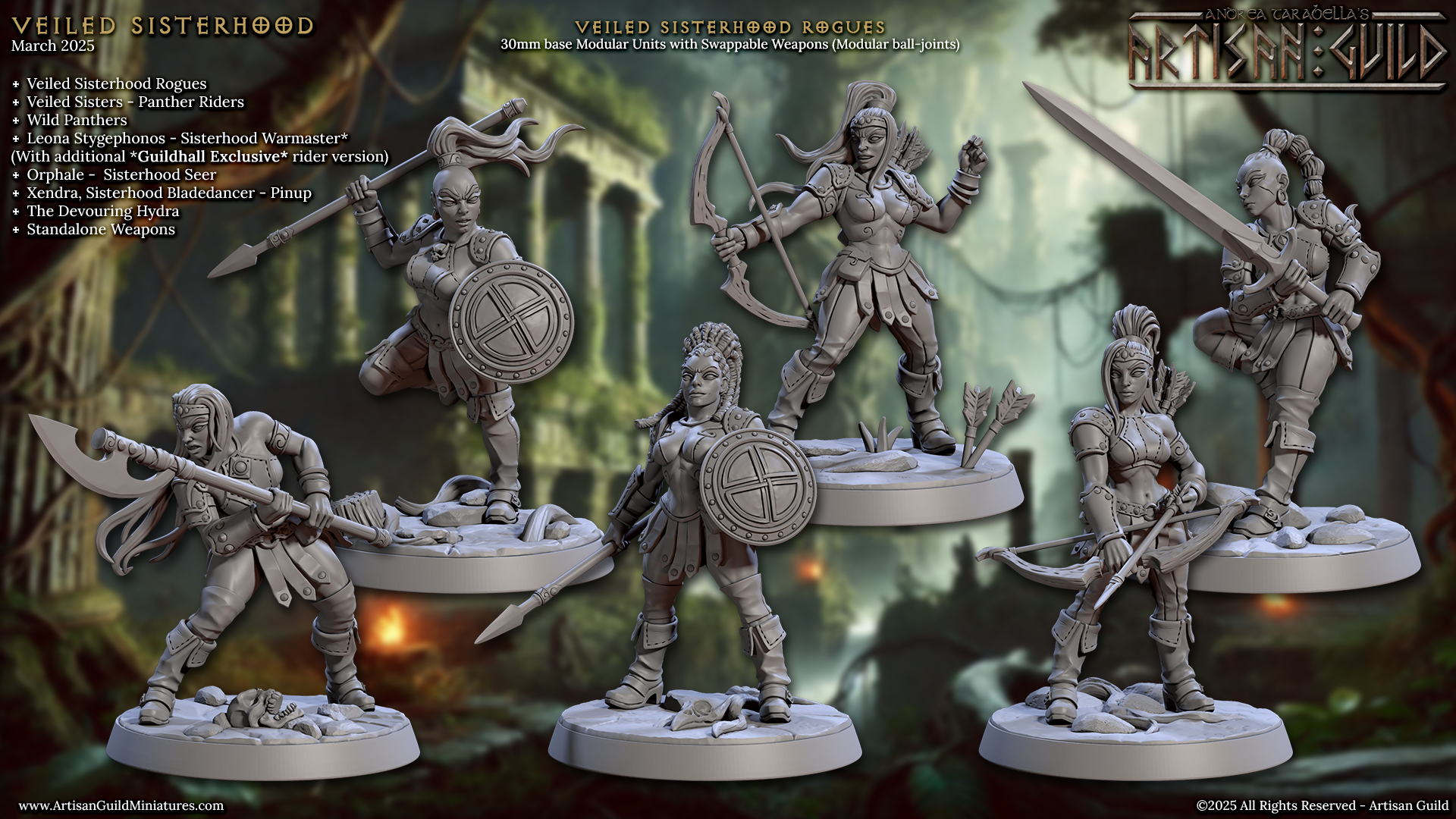 VEILED SISTERHOOD Veiled rogues Kit 1