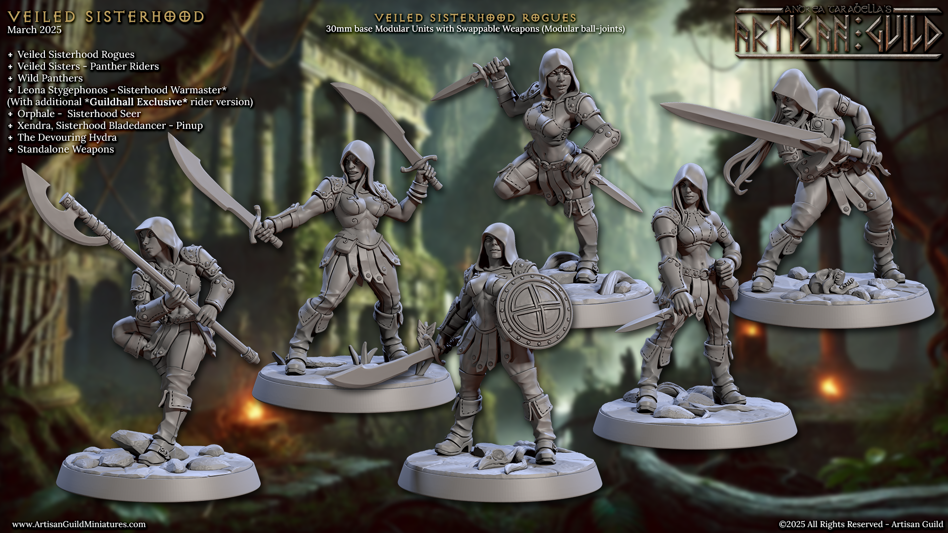 VEILED SISTERHOOD Veiled rogues Kit 2
