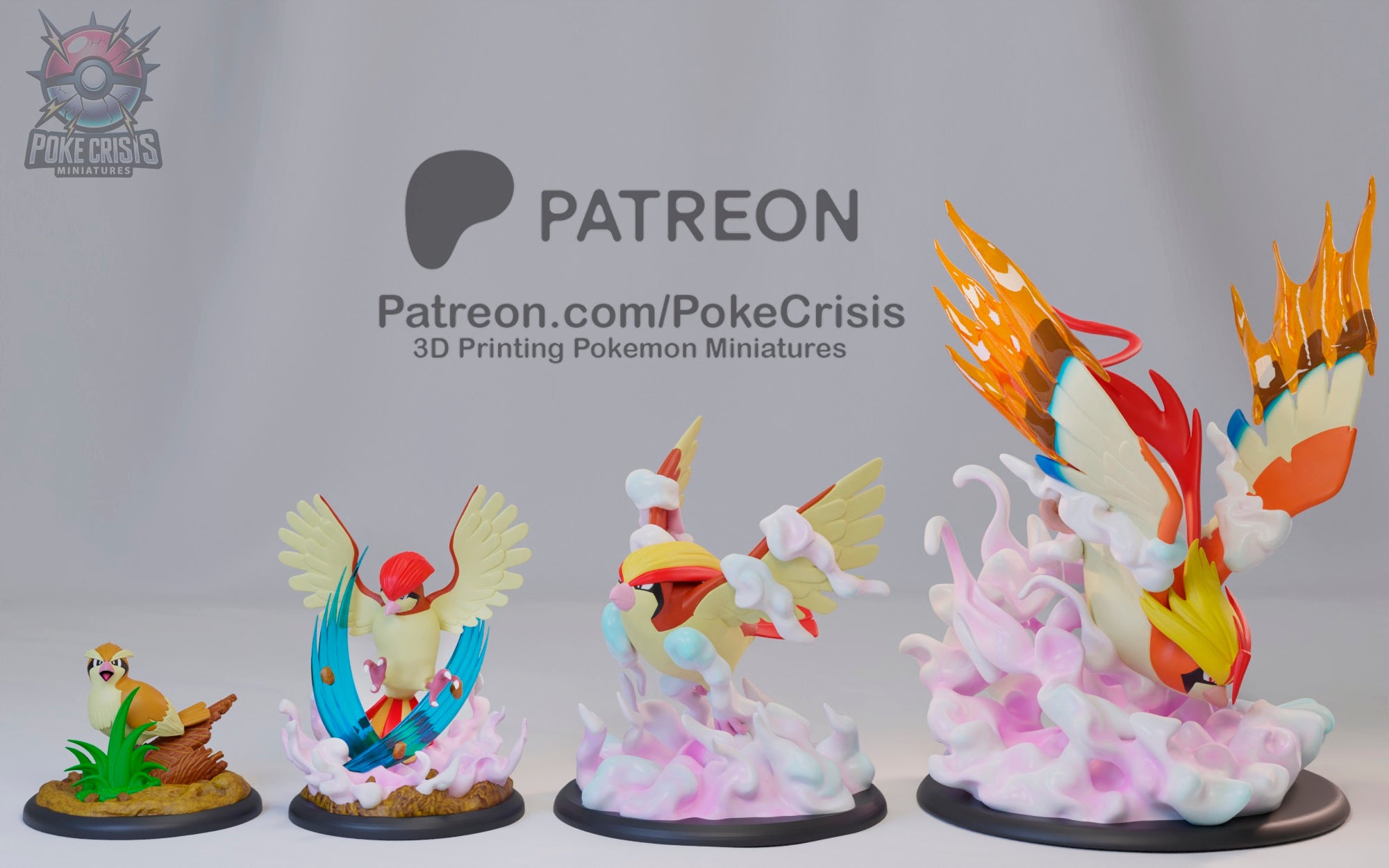 11th Rattata & Pidgey