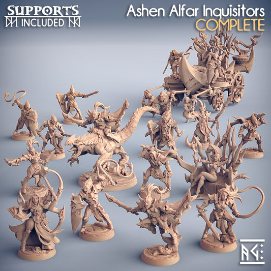 ASHEN ALFAR INQUISITORS- BATTLEFORCE BOX