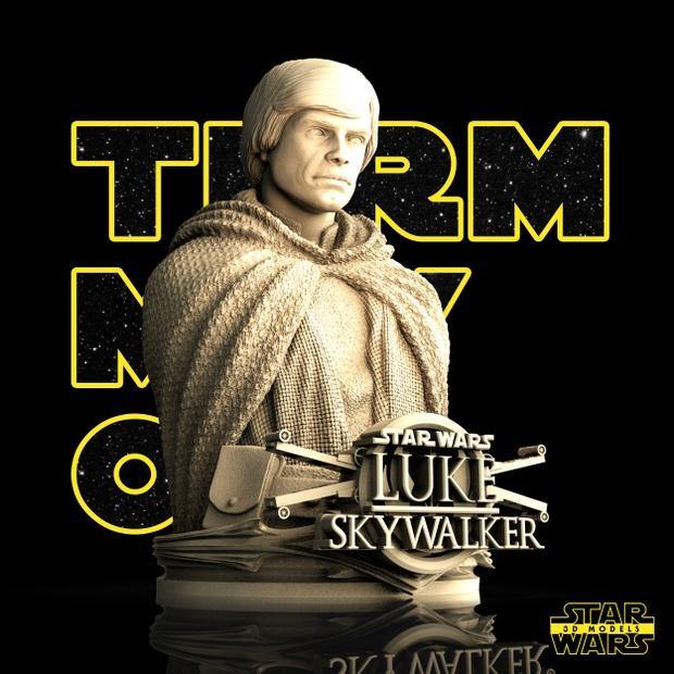 Busto Luke - TODO ROL SPAIN 