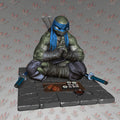 LEO TORTUGA NINJA CENANDO