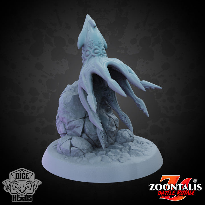 Cave squid  - Dwellers in the dark