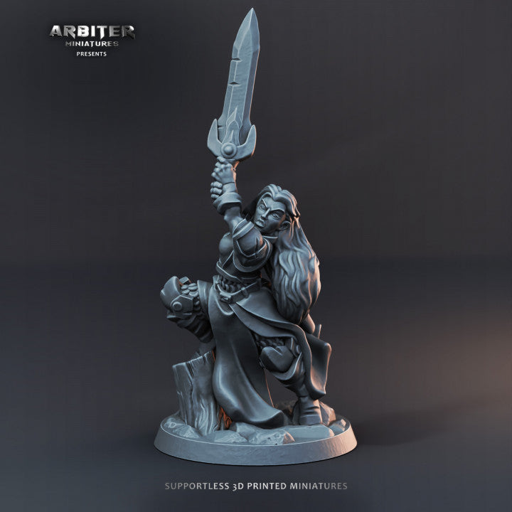 Fighter  - HERO OF THE REALM