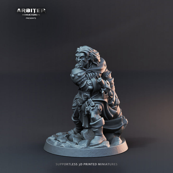 Fighter  - HERO OF THE REALM