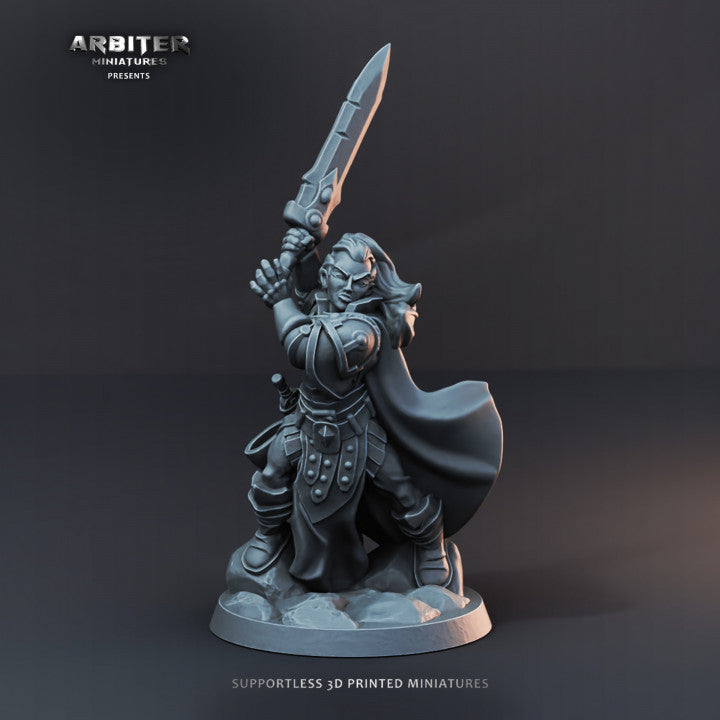 Paladin  - HERO OF THE REALM