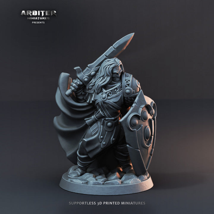 Paladin  - HERO OF THE REALM