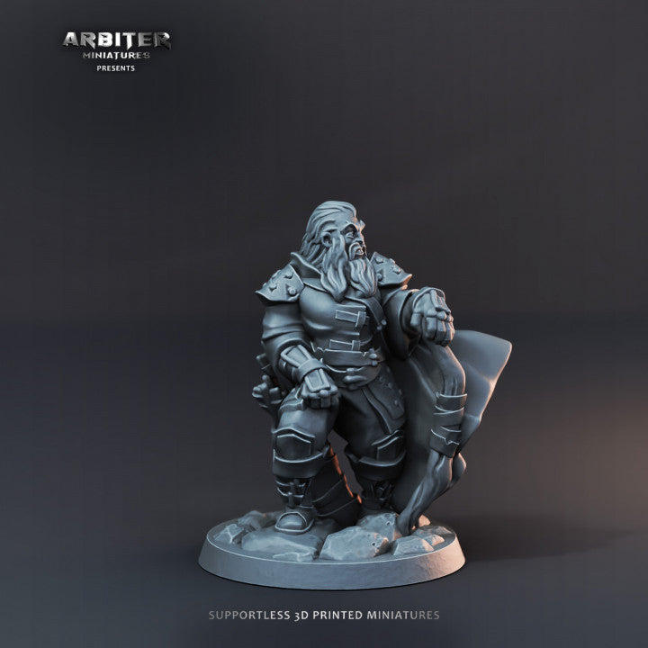 SETS 1 HEROES DE CAMPAÑA