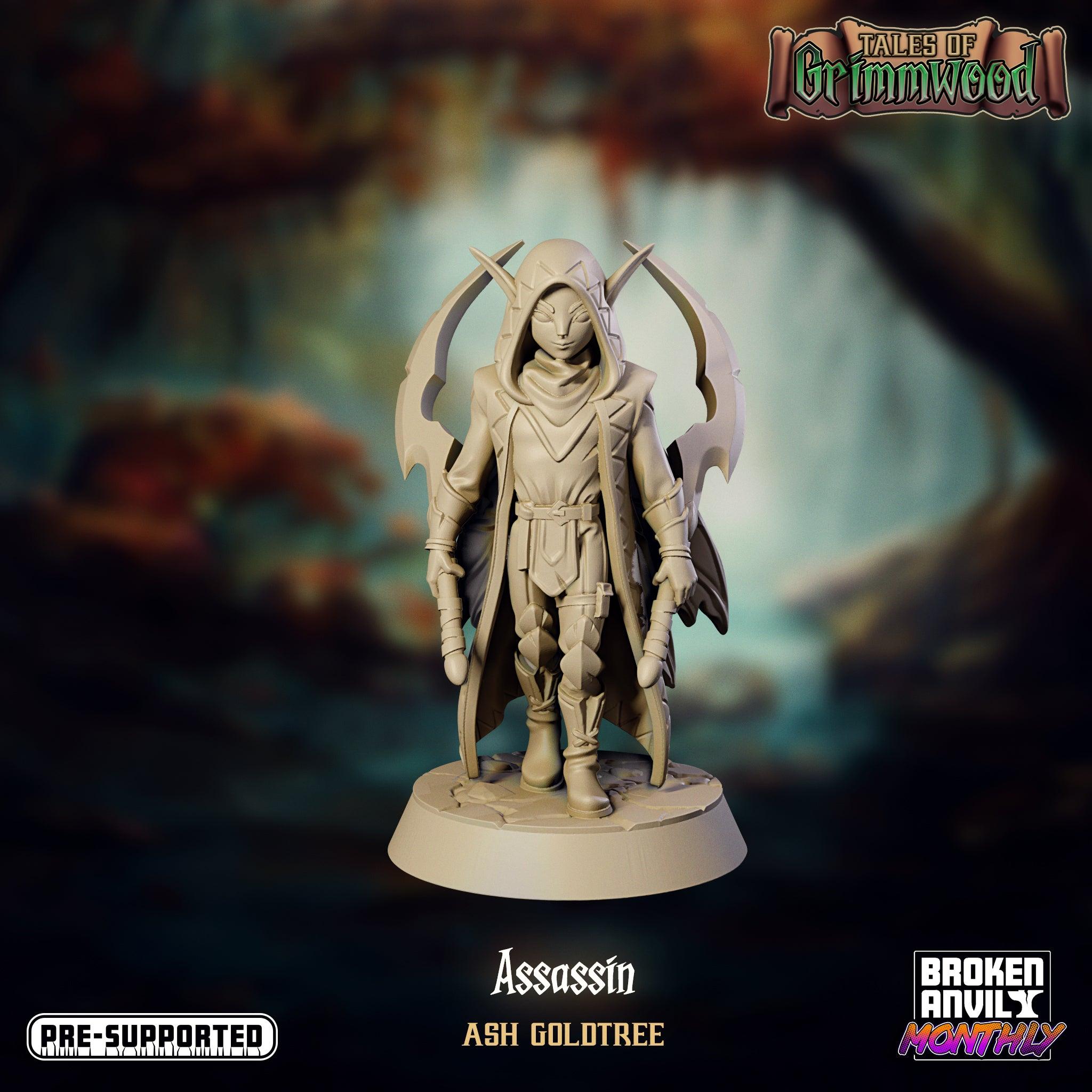 Fey Assassin - Tales of Grimmwood - TODO ROL SPAIN 