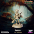 Fey Geomancer - Tales of Grimmwood - TODO ROL SPAIN 