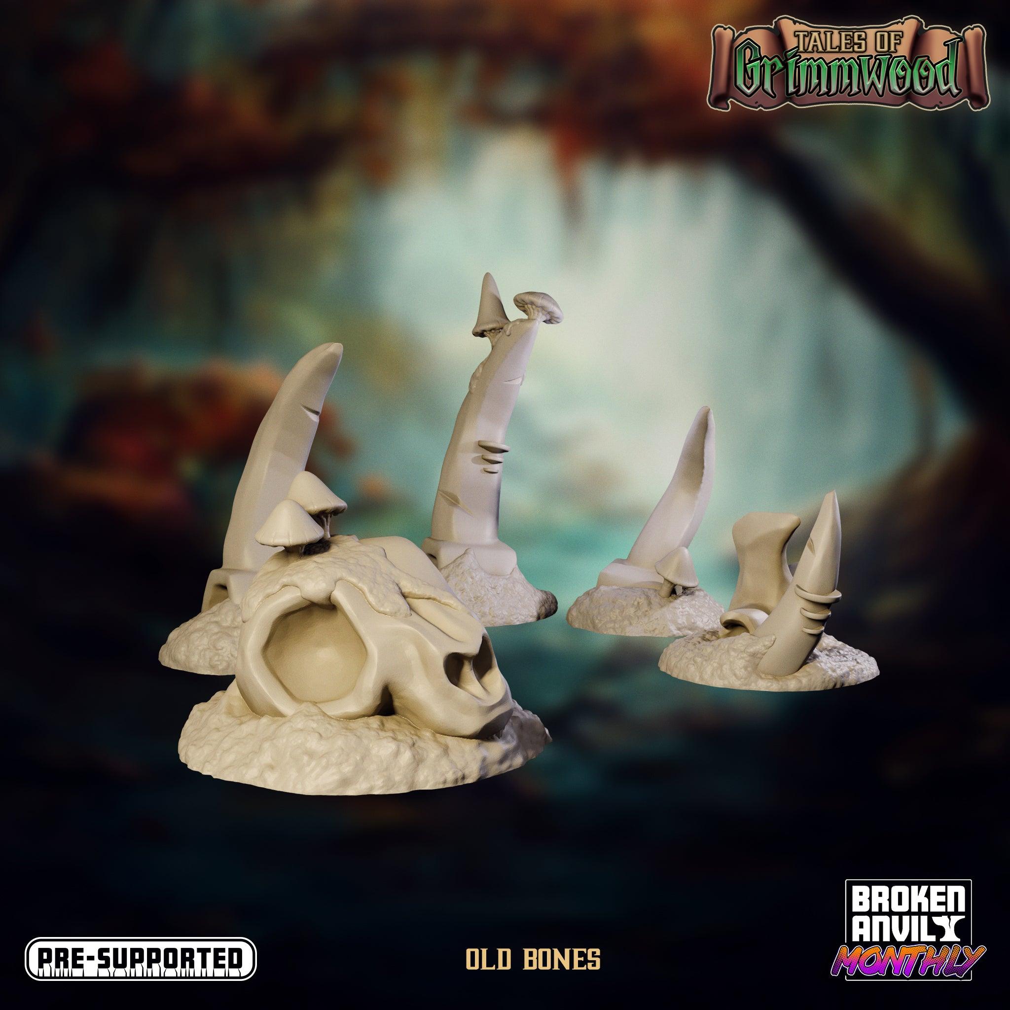 Props Old Bonesl - Tales of Grimmwood - TODO ROL SPAIN 