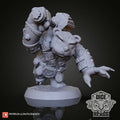 Grayston Barbarian Bears - Heroes of Zoolantis - TODO ROL SPAIN 