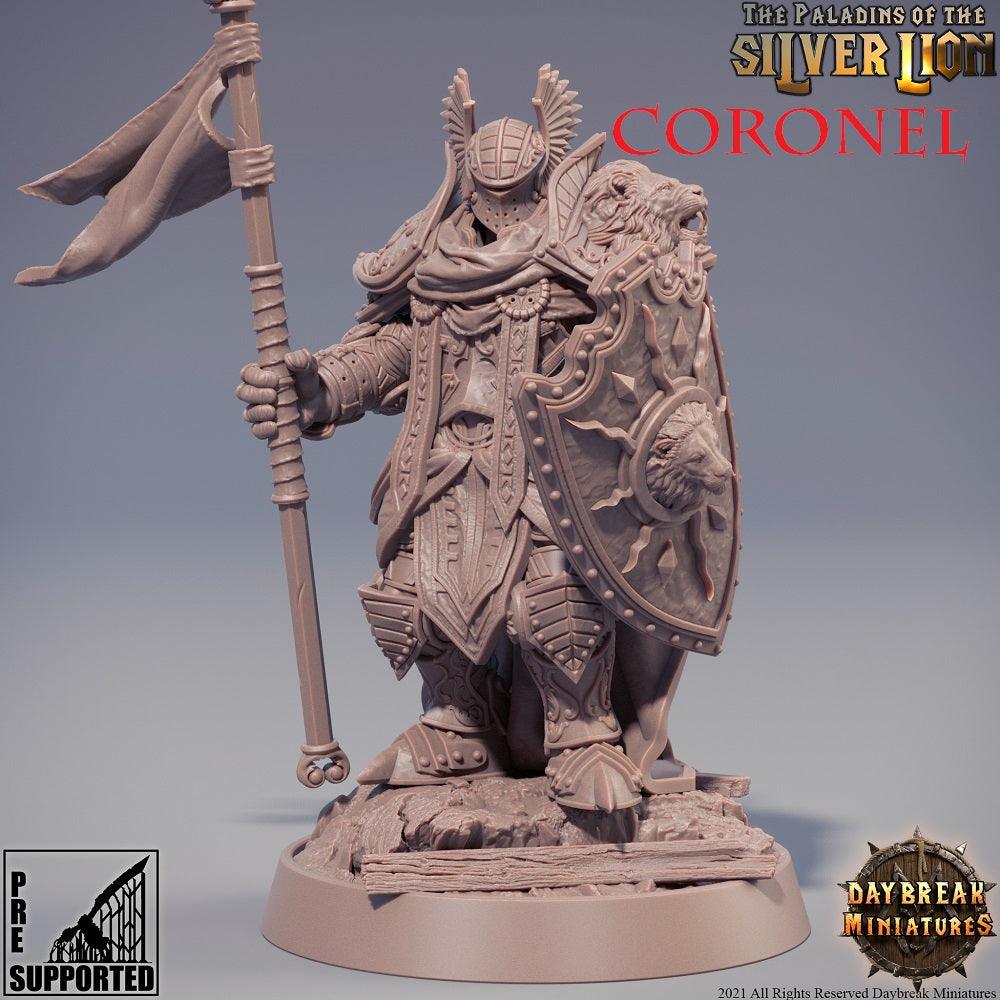 LOS PALADINES DEL LEON DE PLATA -PACK COMPLETO - TODO ROL SPAIN 