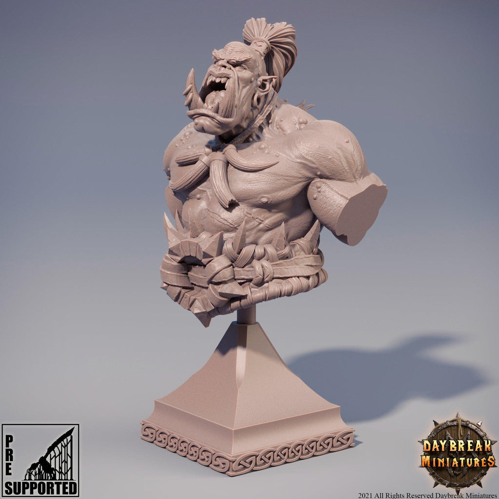 HECTOR STUMPFKANT BUST - TODO ROL SPAIN 