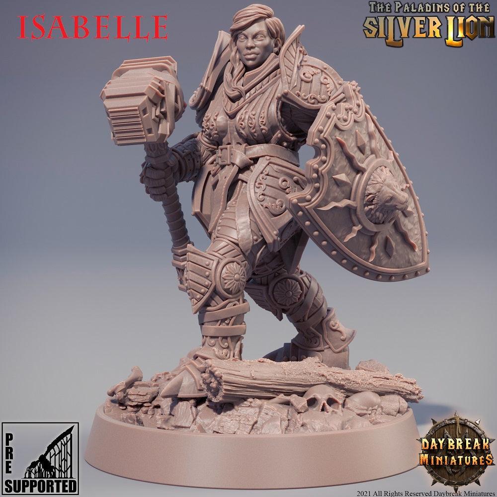 LOS PALADINES DEL LEON DE PLATA -PACK COMPLETO - TODO ROL SPAIN 