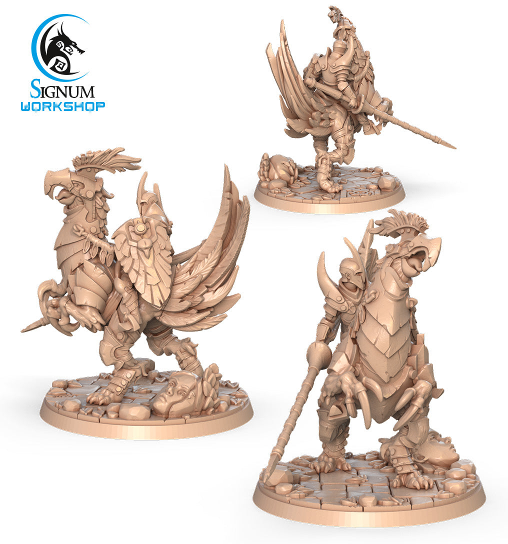 Vincent, the Oronox Knight