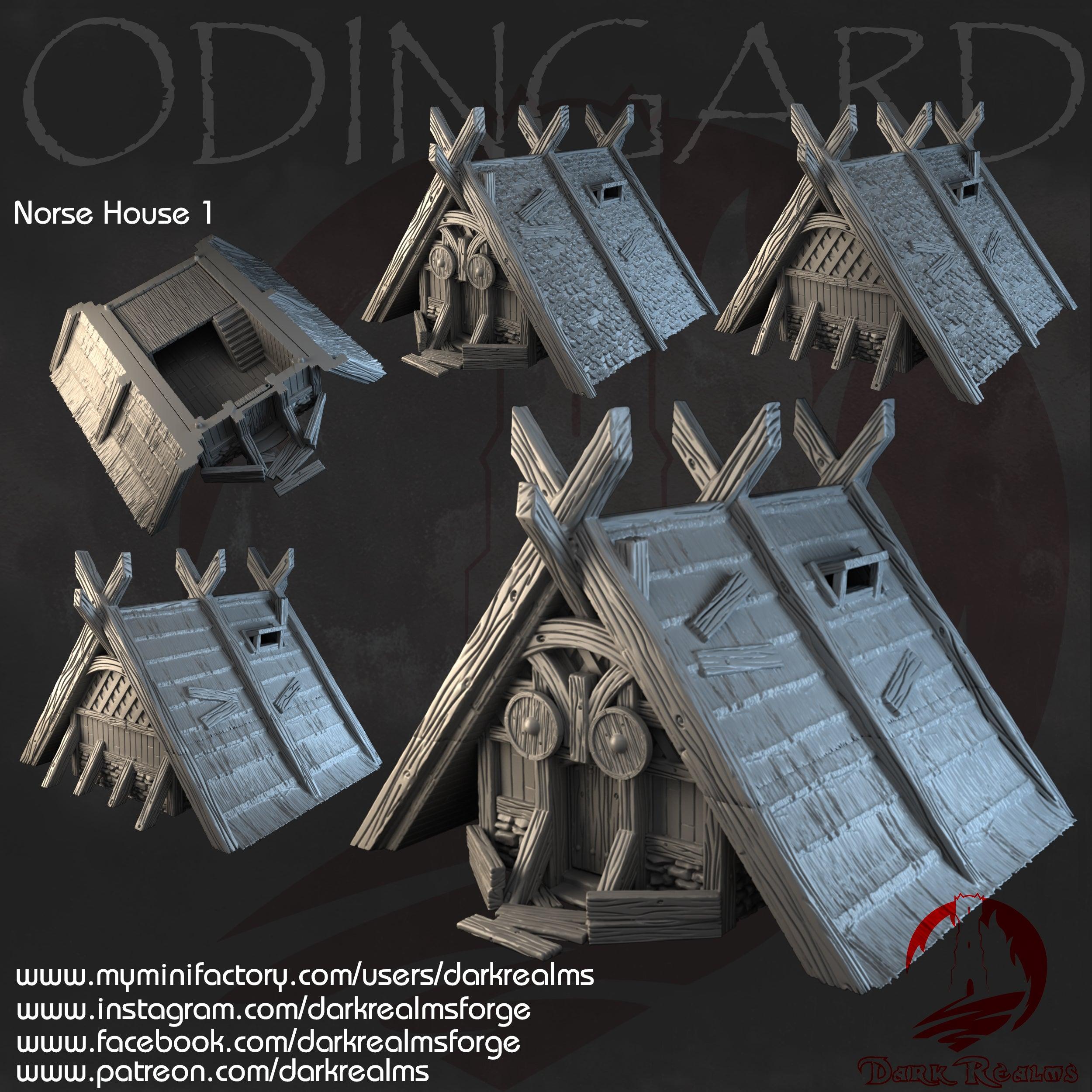 HOUSE 1 ODIN VIKINGOS ODINGARD para wargames 28mm/30mm - TODO ROL SPAIN 