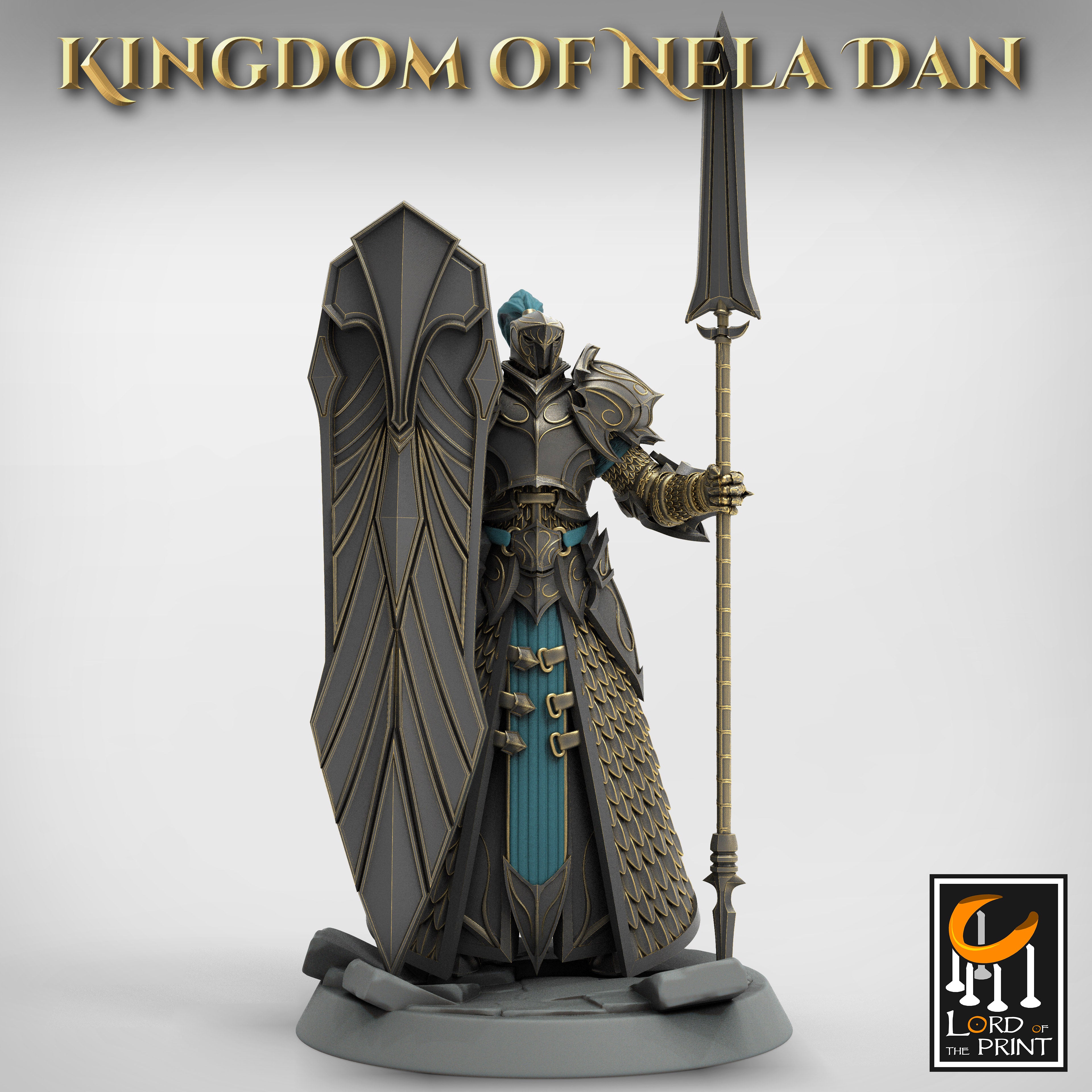 Pack Elf Praetorians - KINGDOM OF NELADAN
