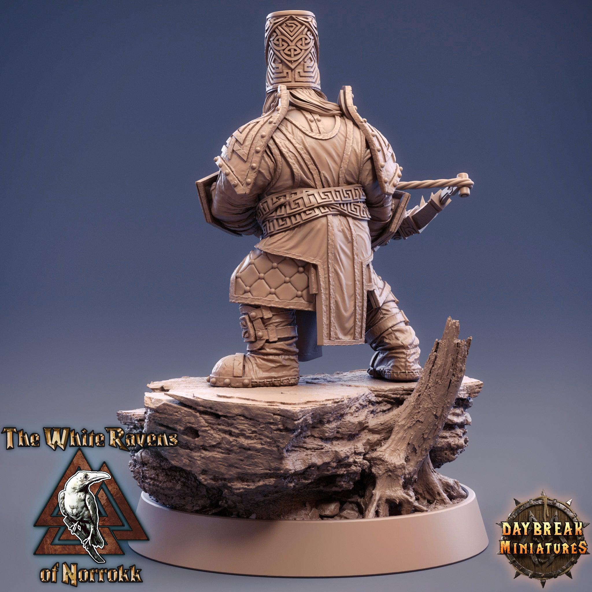 Rega Novalis The Queen of Bolts - The White Ravens of Norrokk - TODO ROL SPAIN 
