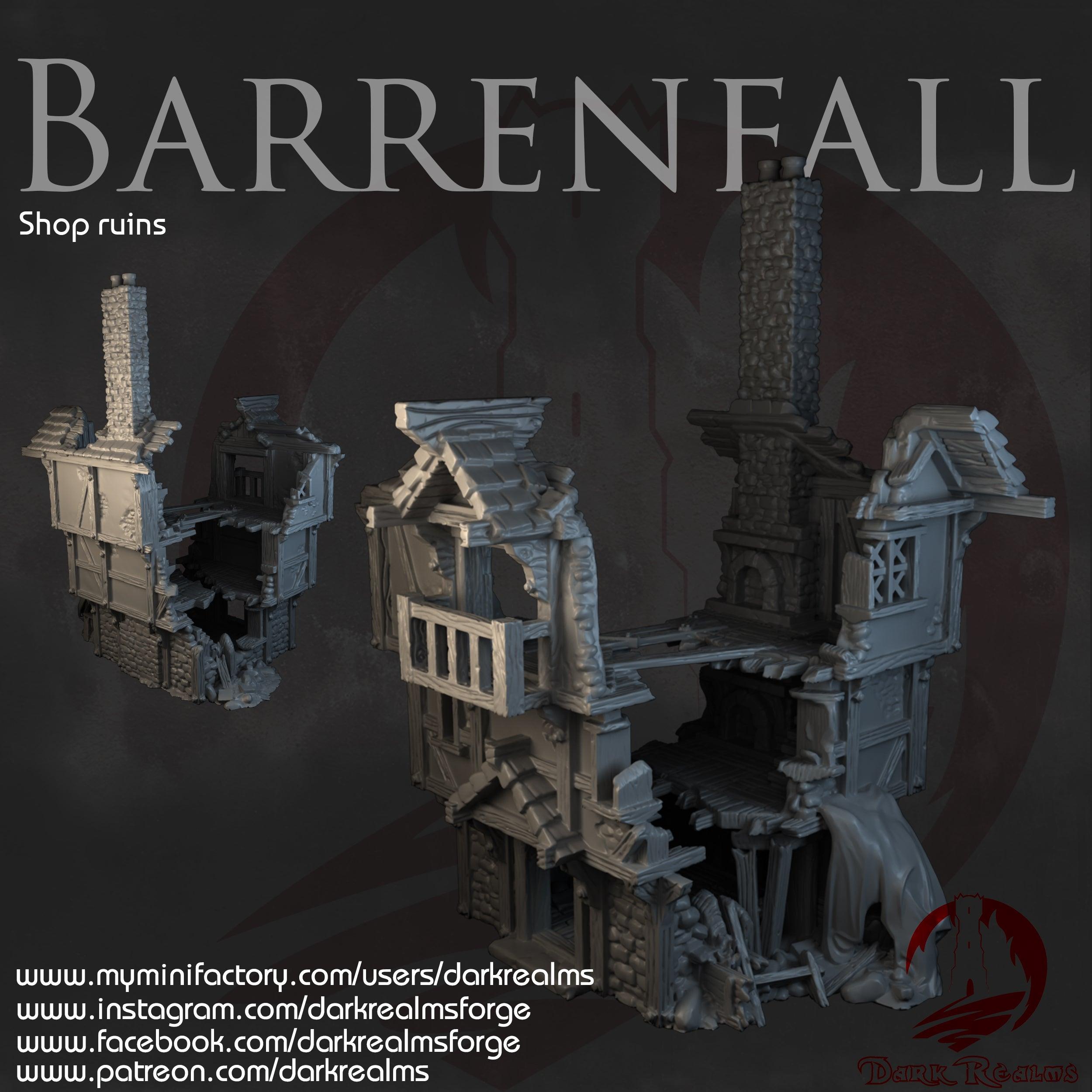Shop Ruins Barrenfall para wargames 28mm/30mm - TODO ROL SPAIN 