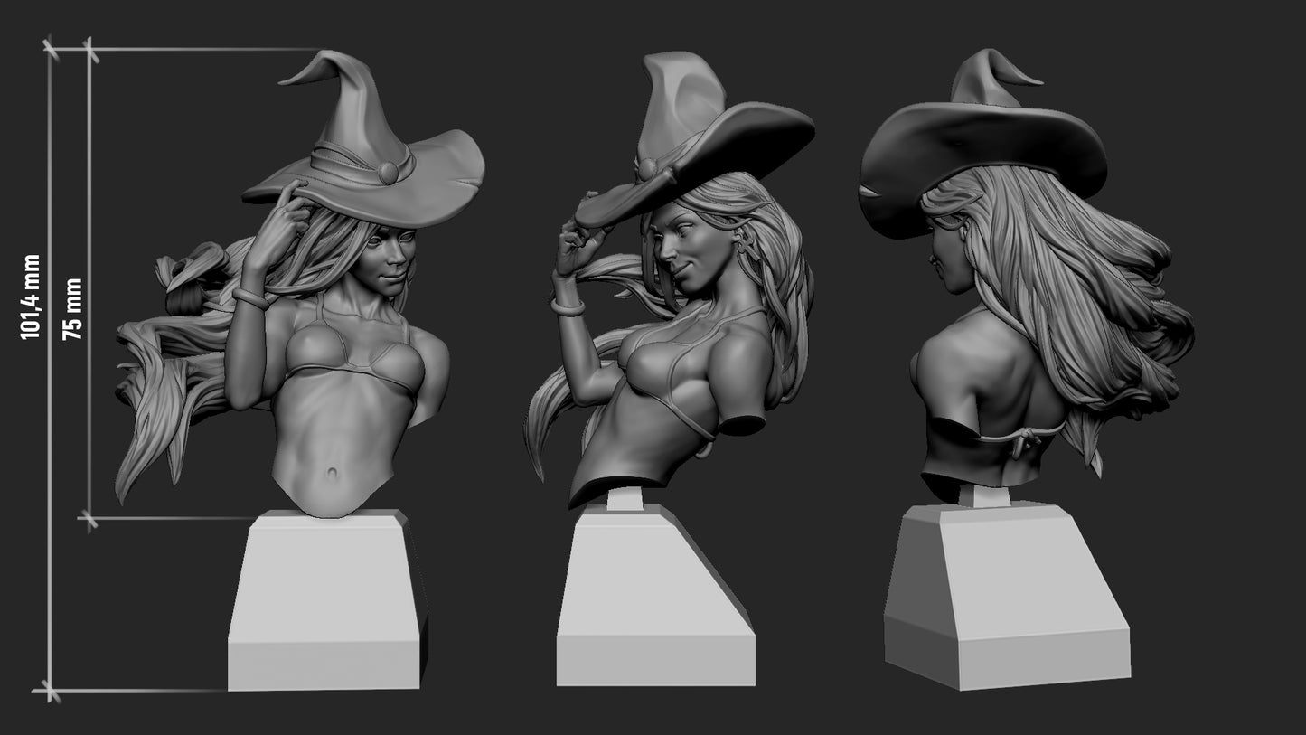 Anita the Witch Bust