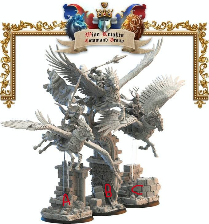 Comandantes Wind Knights Lost Kingdom Reino de Mercia  (the 9th age, AOS, warhammer, Bretonia, King of War) - TODO ROL SPAIN 