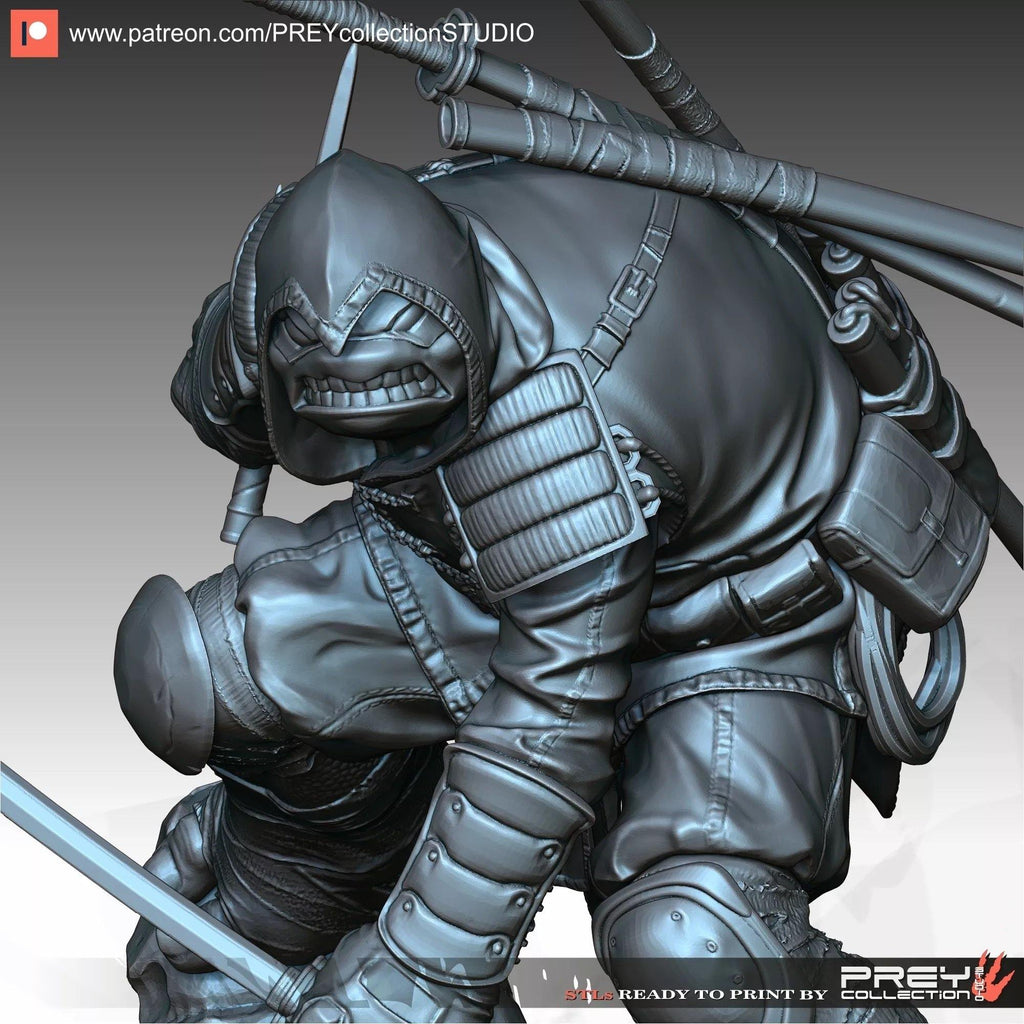 RONIN - TODO ROL SPAIN 