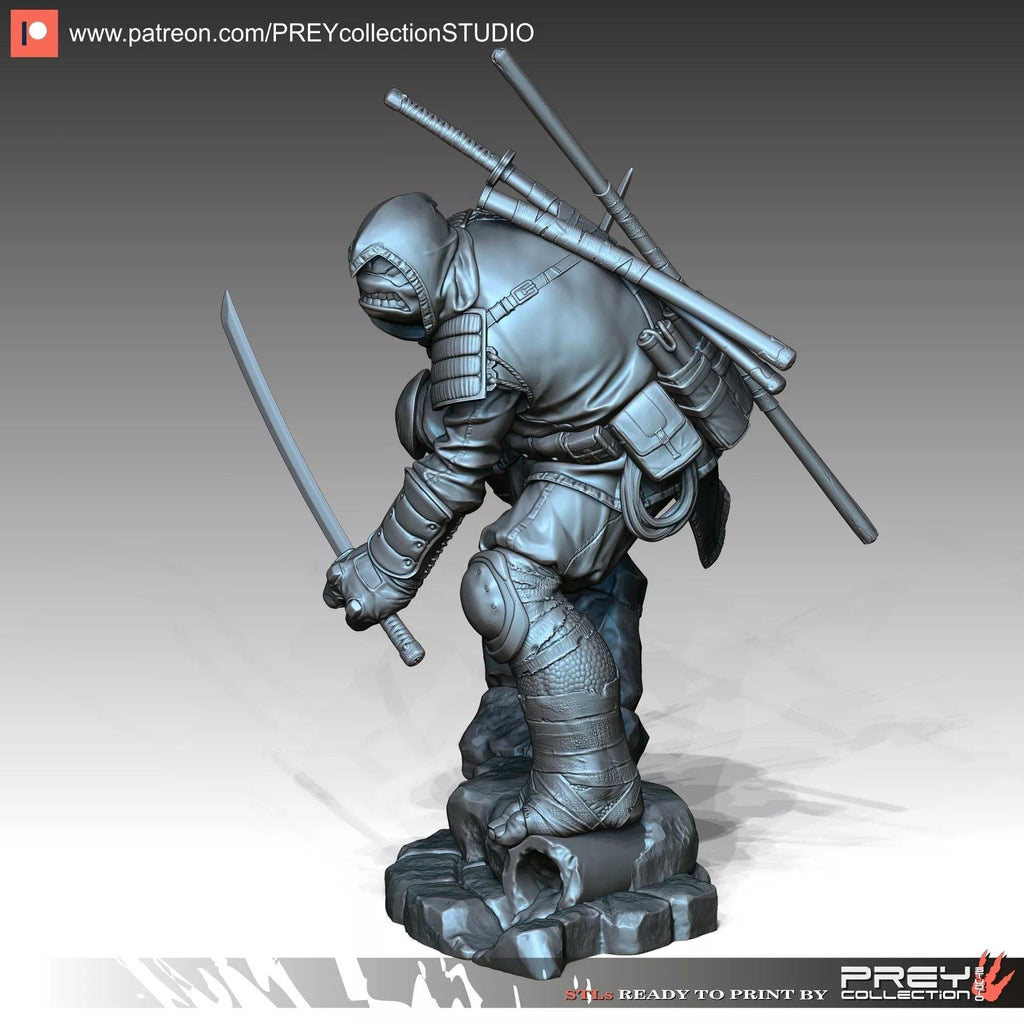 RONIN - TODO ROL SPAIN 