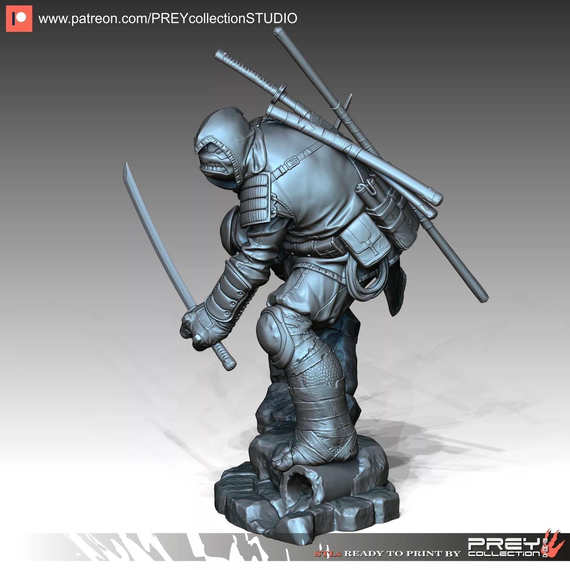 RONIN - TODO ROL SPAIN 